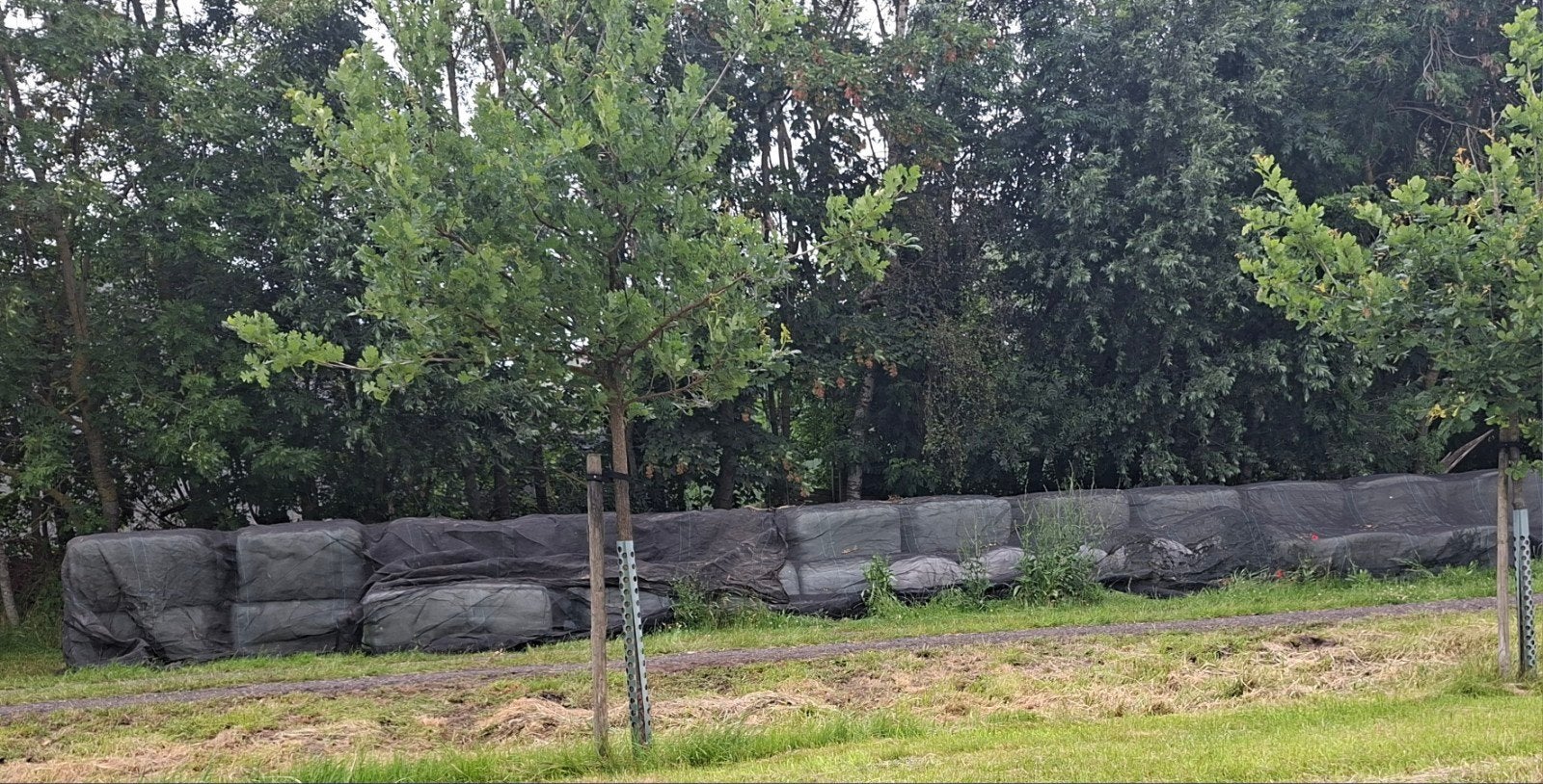 Gewikkelde balen voordroog, Dieren en Toebehoren, Ophalen of Verzenden, Vee