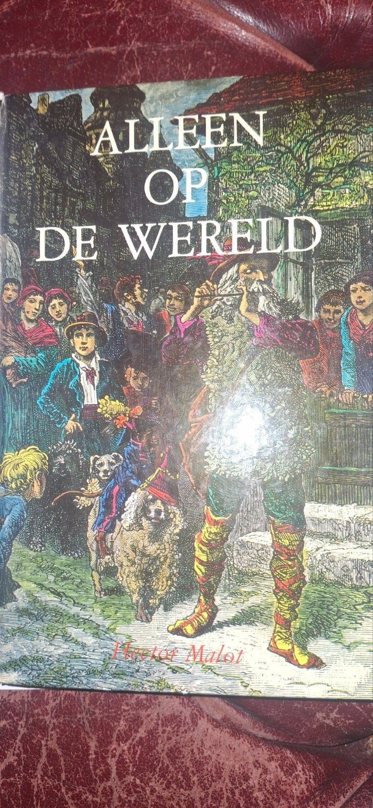 Alleen op de Wereld - Hector Malot (Hardcover), Boeken, Ophalen of Verzenden, Gelezen