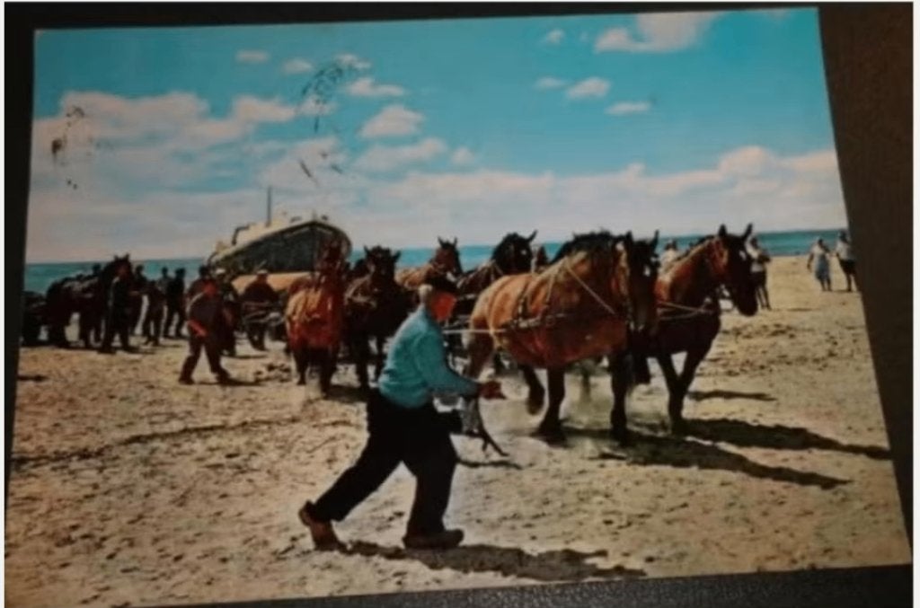 Paard - Reddingsboot uit zee - Ameland - Hollum, Verzenden, 1960 tot 1980, Gelopen, Paard