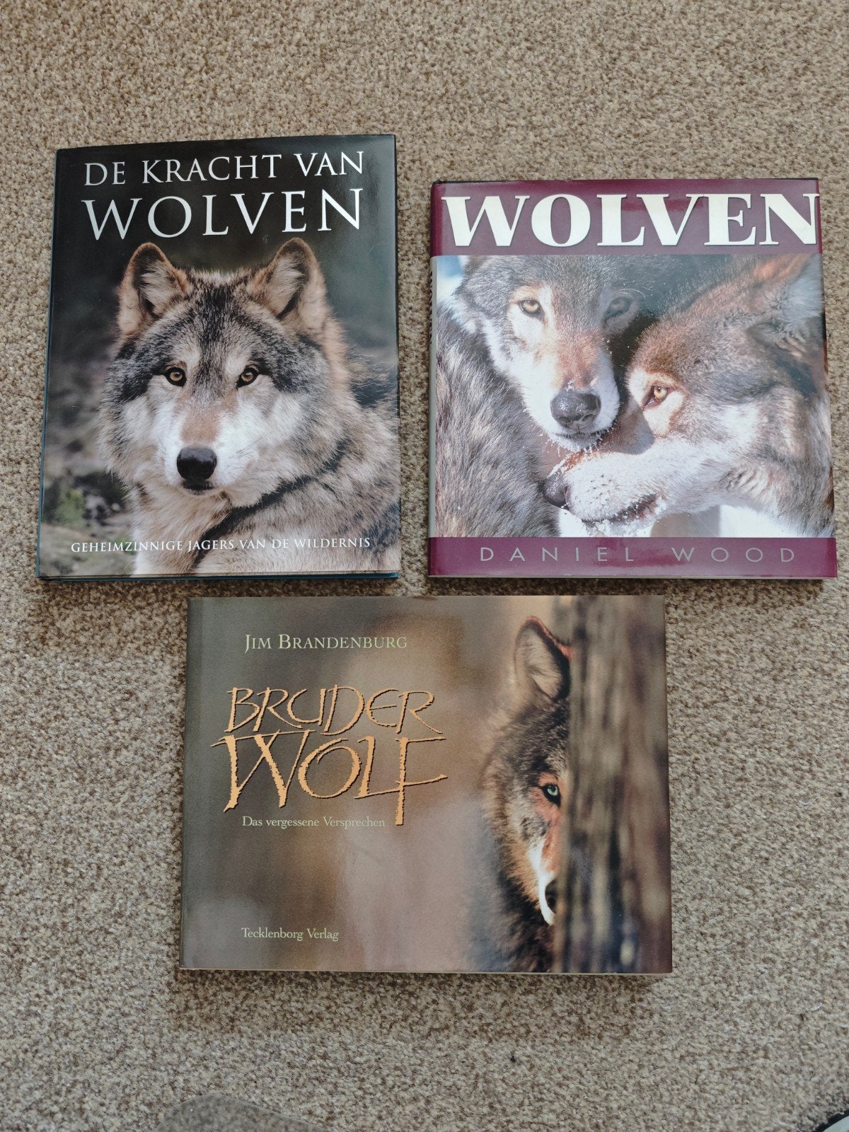Wolven boeken: De Kracht van Wolven, Wolven, Bruder Wolf, Ophalen, Zo goed als nieuw, Overige diersoorten, Diverse auteurs