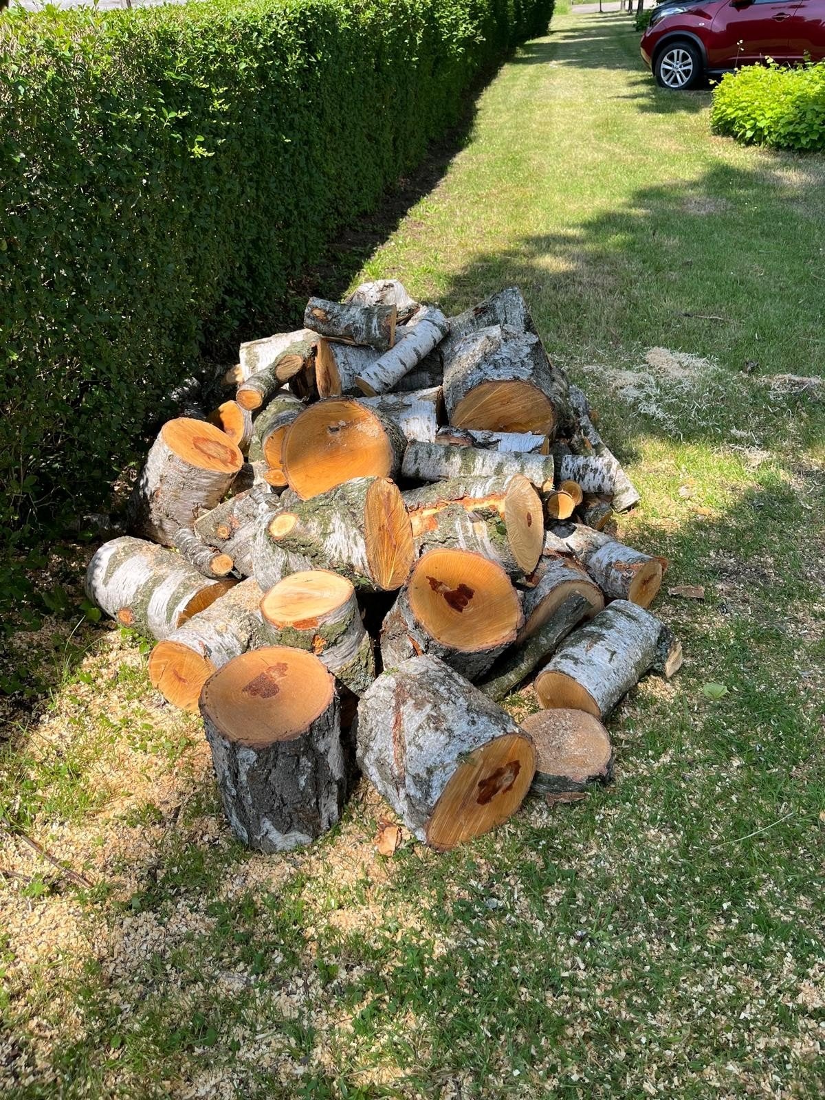 Berkenhout blokken - Ideaal voor open haard of kachel, Tuin en Terras, Minder dan 3 m³, Ophalen, Berkenhout, Blokken