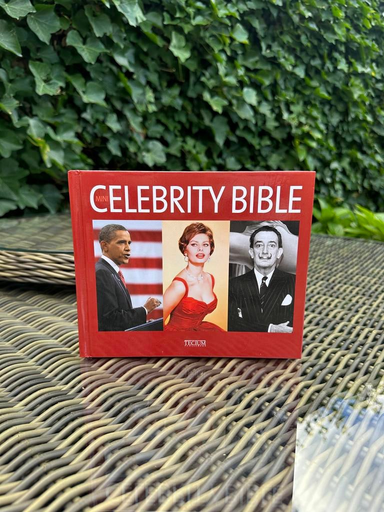 Mini Celebrity Bible, Boeken, Overige Boeken, Zo goed als nieuw, Ophalen of Verzenden