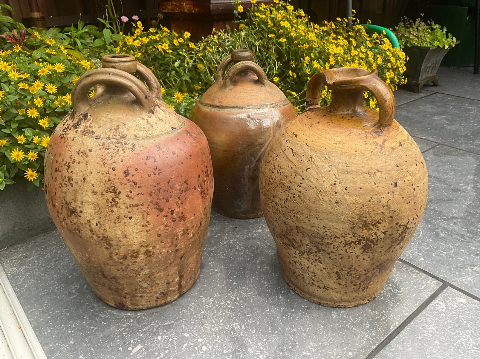 Drie oude olijfkruiken, Ophalen