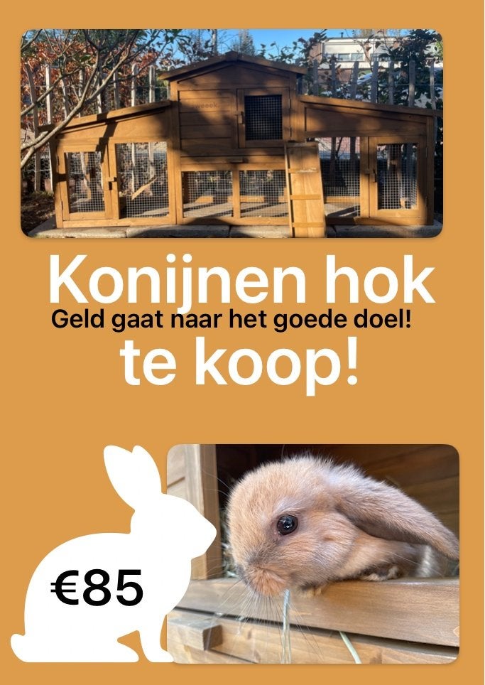 Dwerg konijnen hok, Dieren en Toebehoren, 110 cm of meer, 60 tot 90 cm, Zo goed als nieuw, Hok