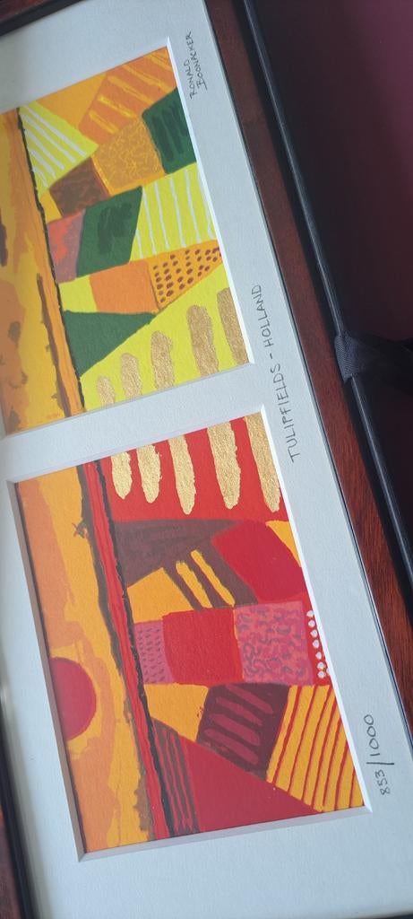 Ronald Boonacker Zeefdruk 'Tulipfields-Holland' 853/1000, Antiek en Kunst, Kunst | Litho's en Zeefdrukken, Ophalen of Verzenden
