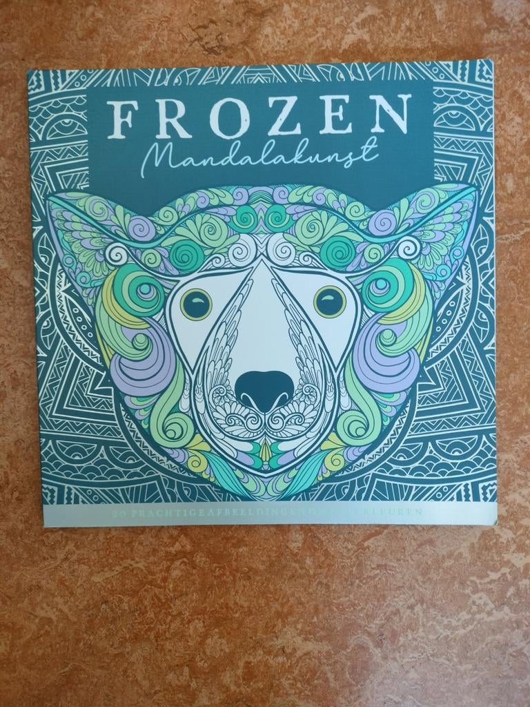 Frozen Mandala kunst, kleurboek, Ophalen of Verzenden, Nieuw, Boek of Gids