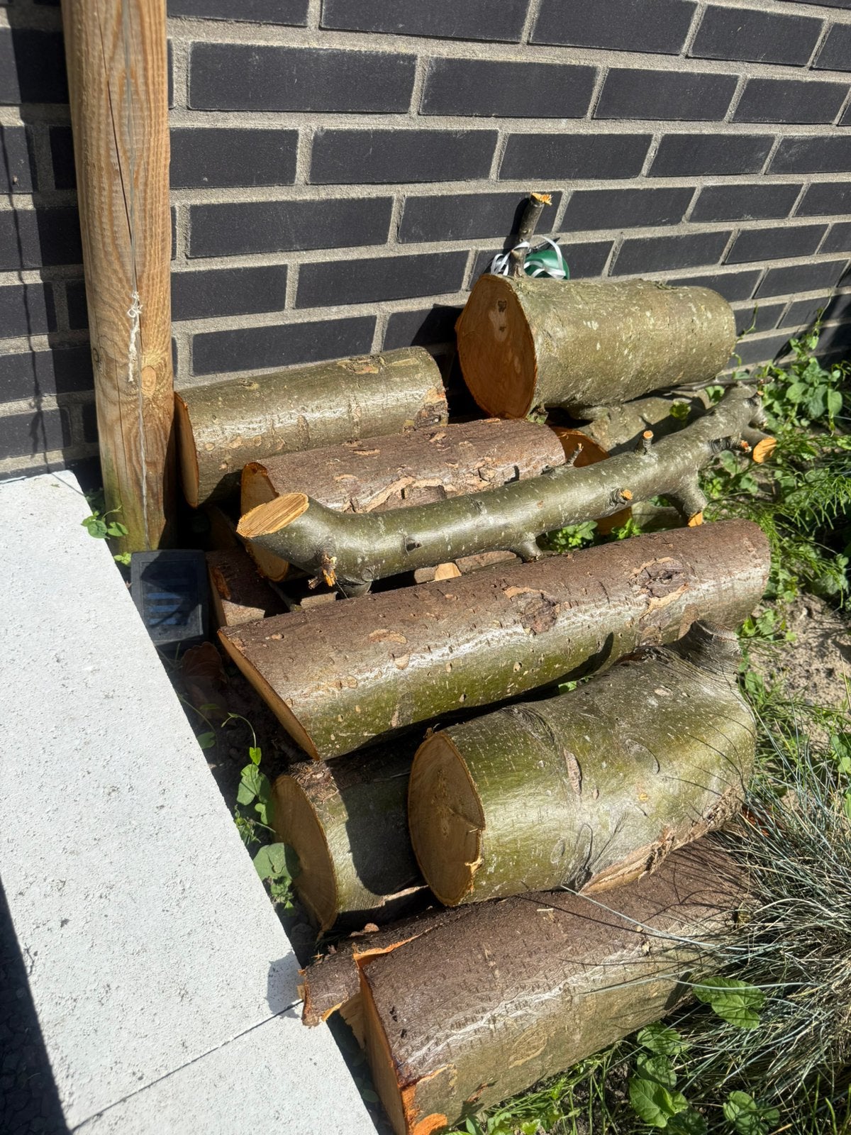 Gratis brandhout appelboom, Tuin en Terras, Haardhout, Minder dan 3 m³, Ophalen