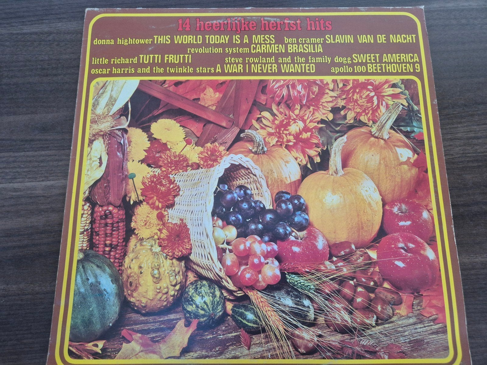 14 Heerlijke Herfst Hits, Cd's en Dvd's, LP, Ophalen of Verzenden, Zo goed als nieuw, Pop