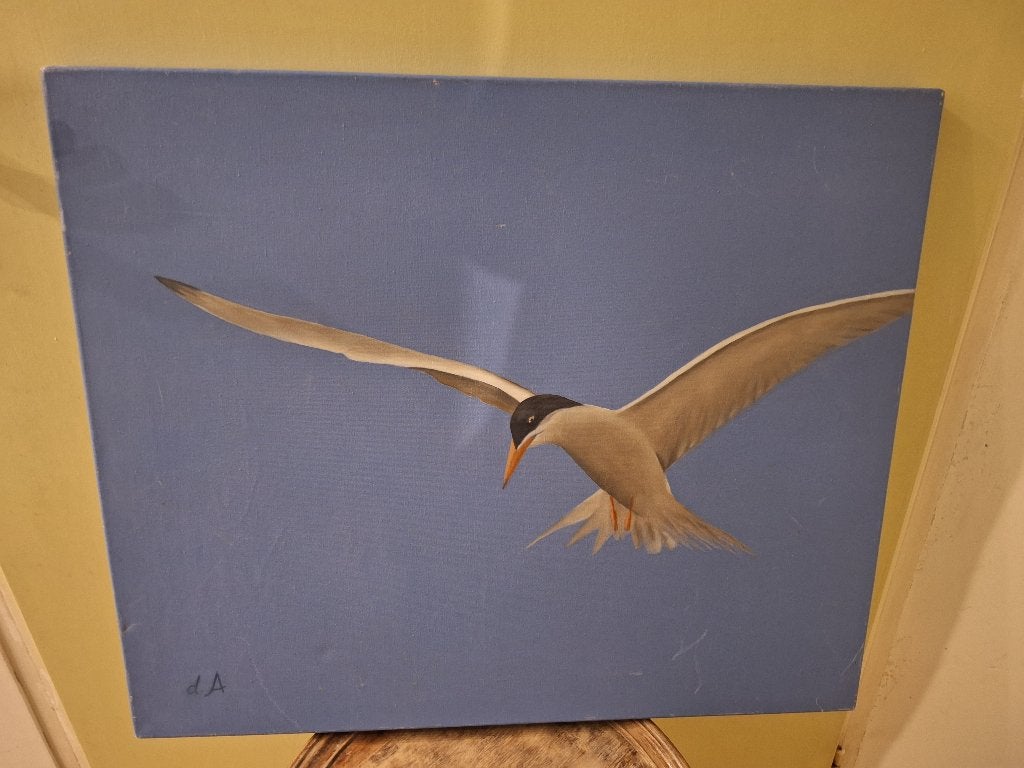 Schilderij vogel, Ophalen, Gebruikt, Schilderij, Minder dan 50 cm