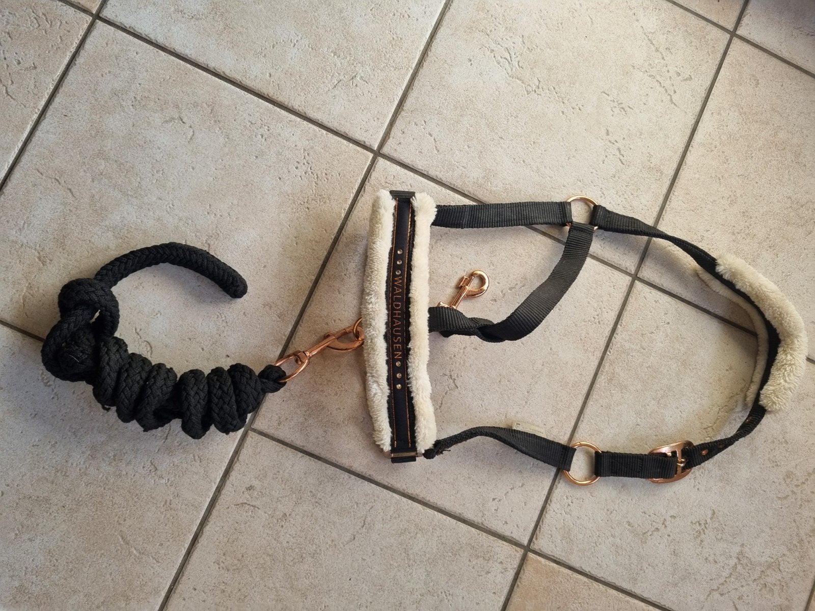Waldhausen Halster+Touw! Maat Pony., Ophalen of Verzenden, Zo goed als nieuw, Dressuur
