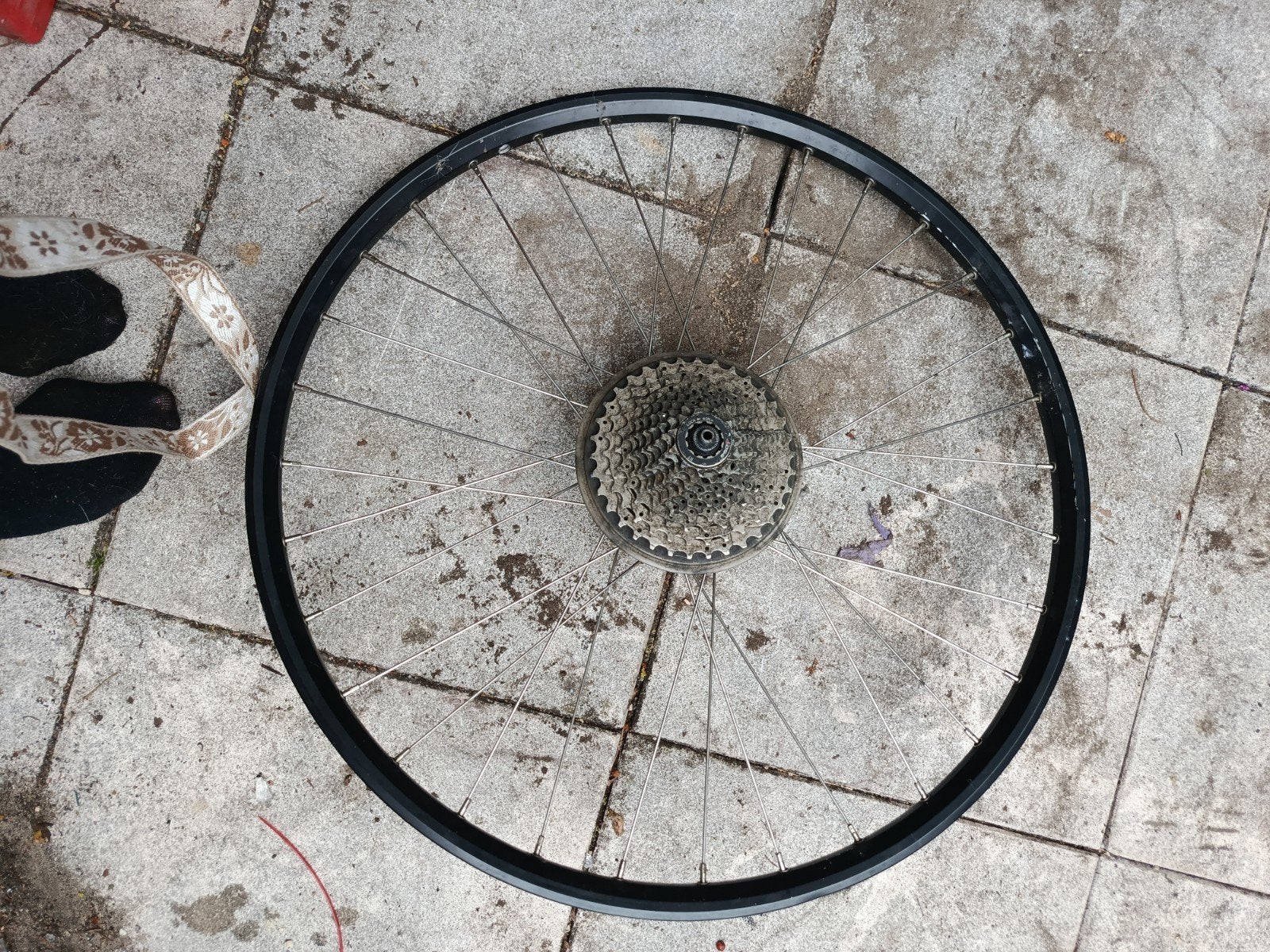 Alexrims ZX20 Achterwiel met Cassette - Gebruikt, Wiel, Gebruikt, Alexrims, Elektrische fiets