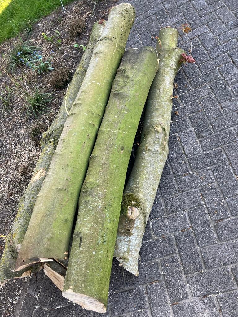 Boomstammen - 6 stuks van ca. 2 meter, Minder dan 3 m³, Ophalen, Overige houtsoorten, Stammen