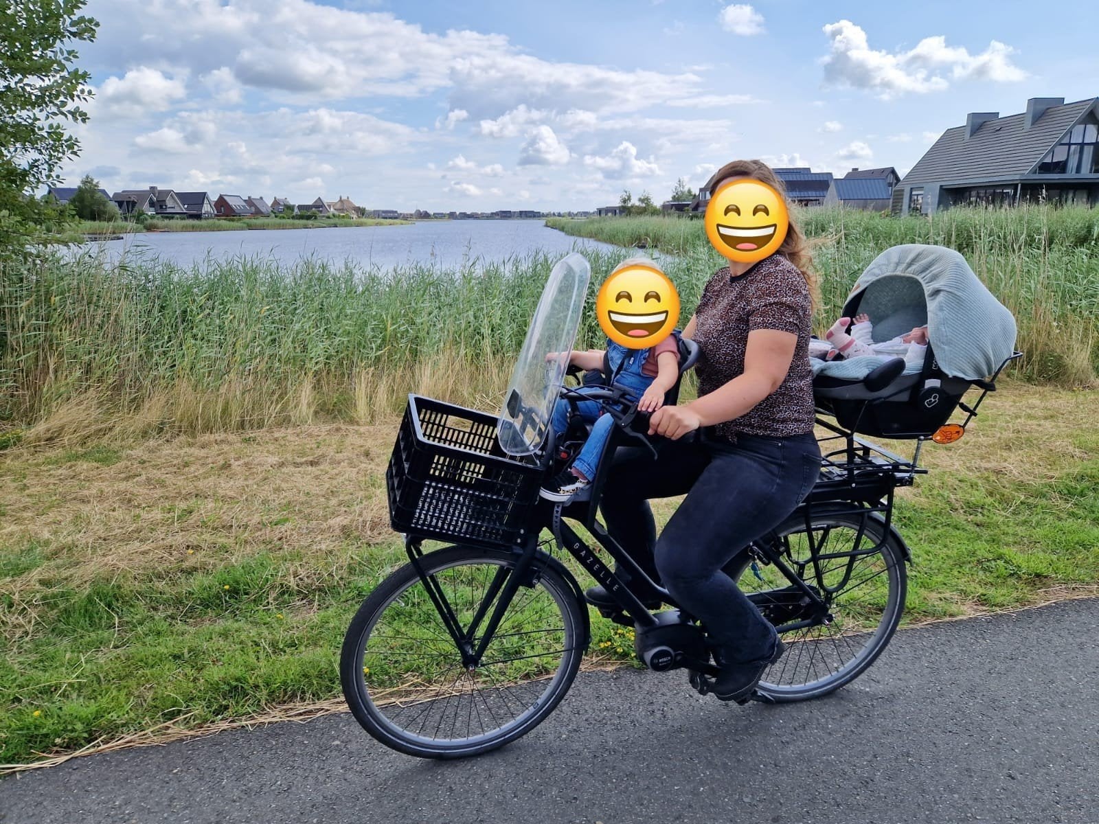 Steco Buggy-Mee fietsdrager voor Maxi-Cosi, Ophalen