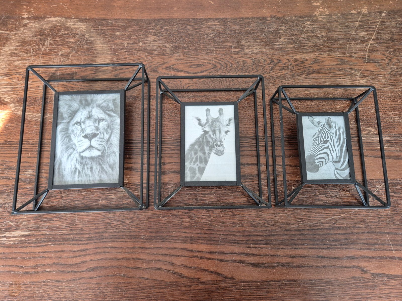 3 metalen fotolijsten, Huis en Inrichting, Ophalen, Minder dan 50 cm, Overige typen, Zo goed als nieuw