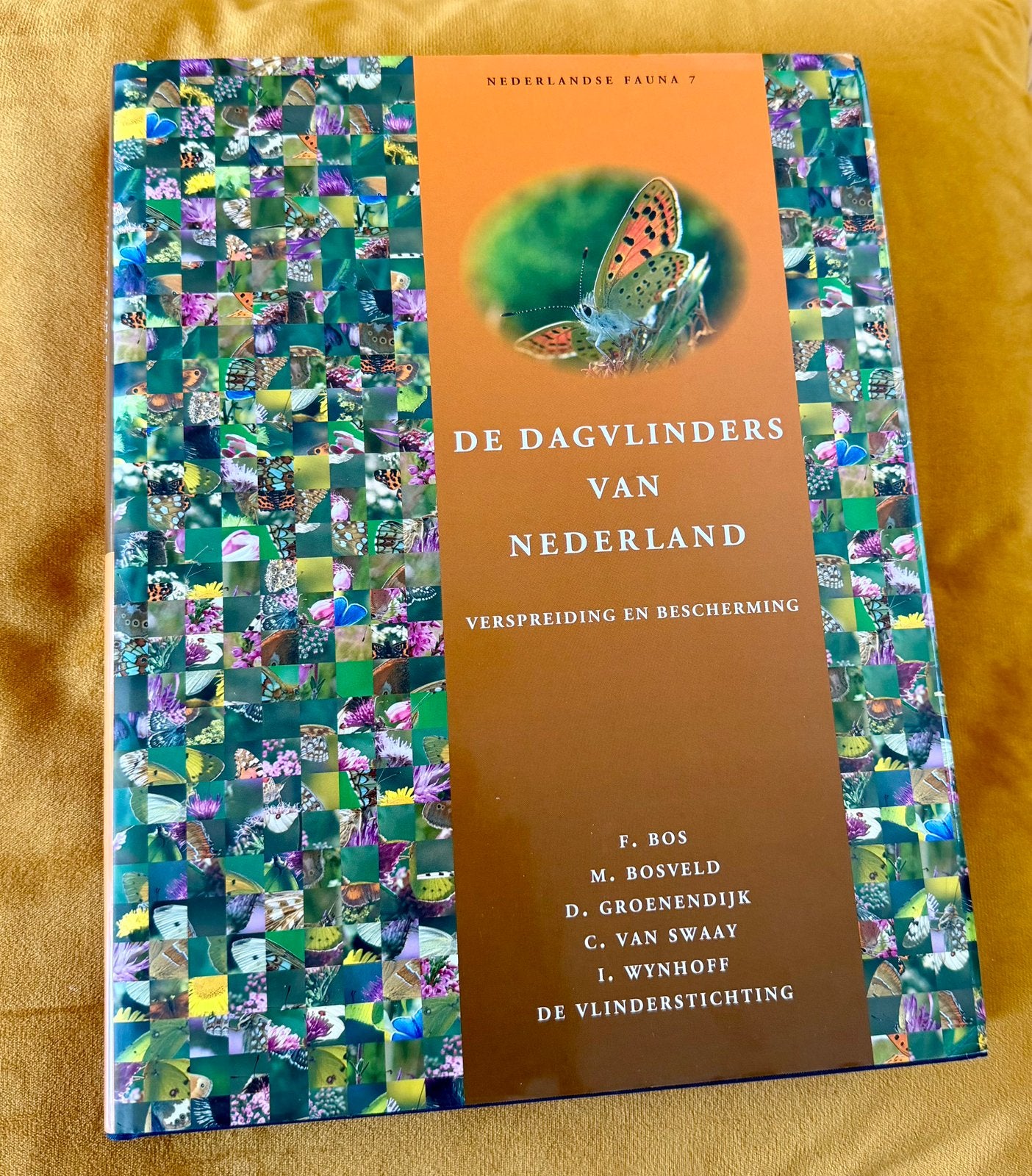 Dagvlinders van Nederland, Ophalen of Verzenden, Zo goed als nieuw, Natuur algemeen