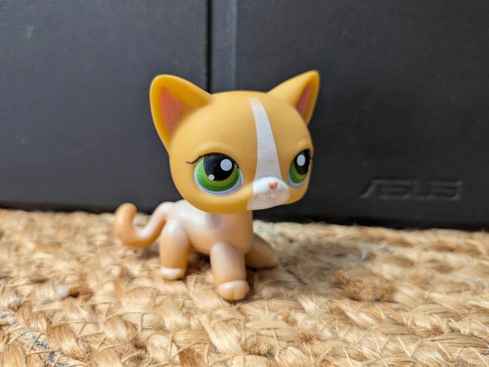 LPS Littlest Pet Shop shorthair cat #72 Collectors Item Katj, Ophalen of Verzenden, Gebruikt