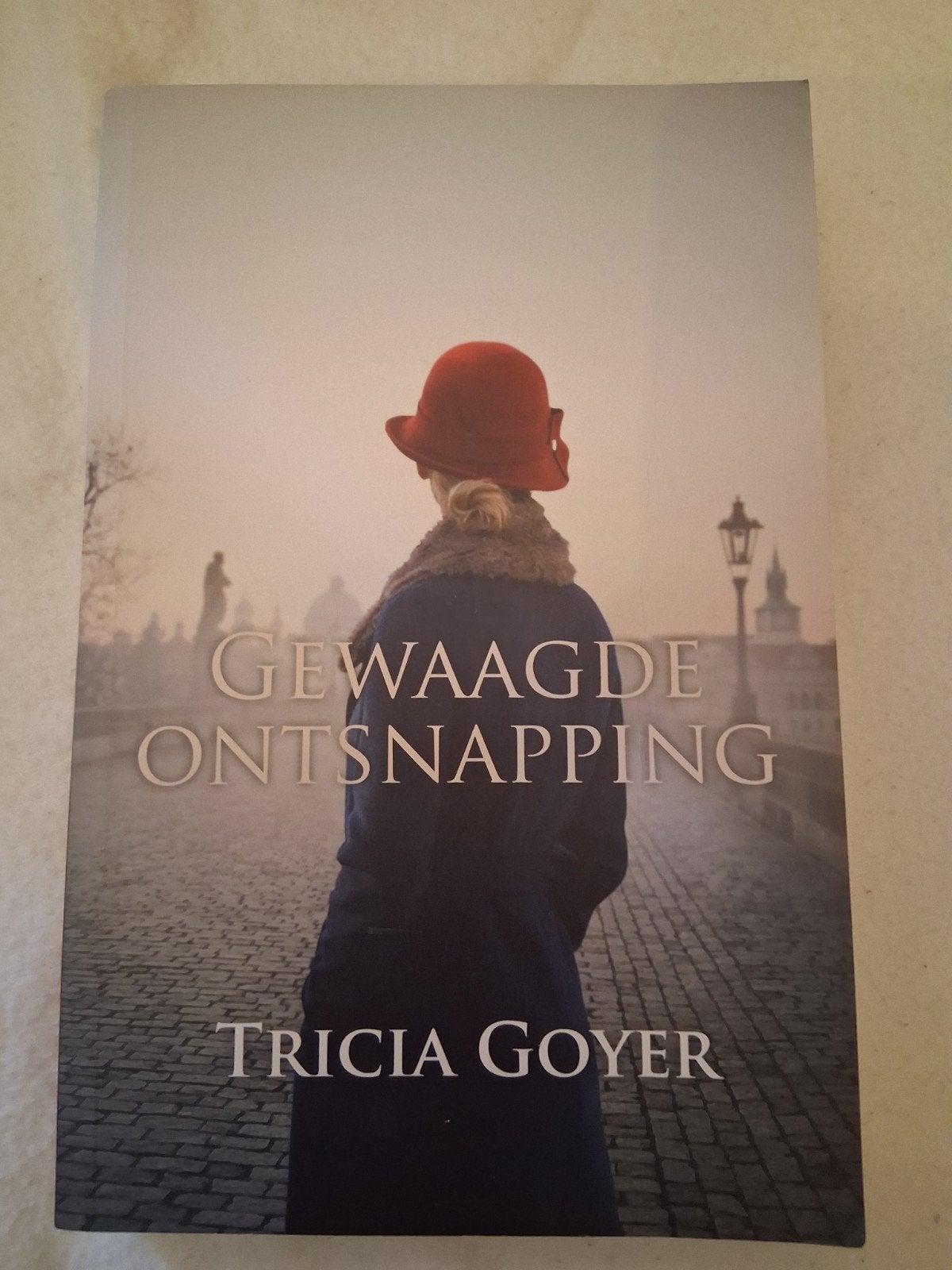 Gewaagde Ontsnapping - Tricia Goyer (Zo goed als nieuw), Boeken, Ophalen of Verzenden, Zo goed als nieuw, Tricia Goyer, Nederland
