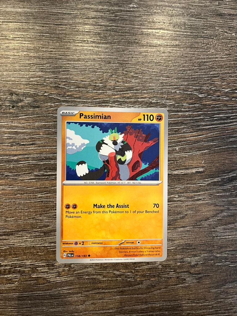 Passimian PAL 118/193, Ophalen of Verzenden, Zo goed als nieuw