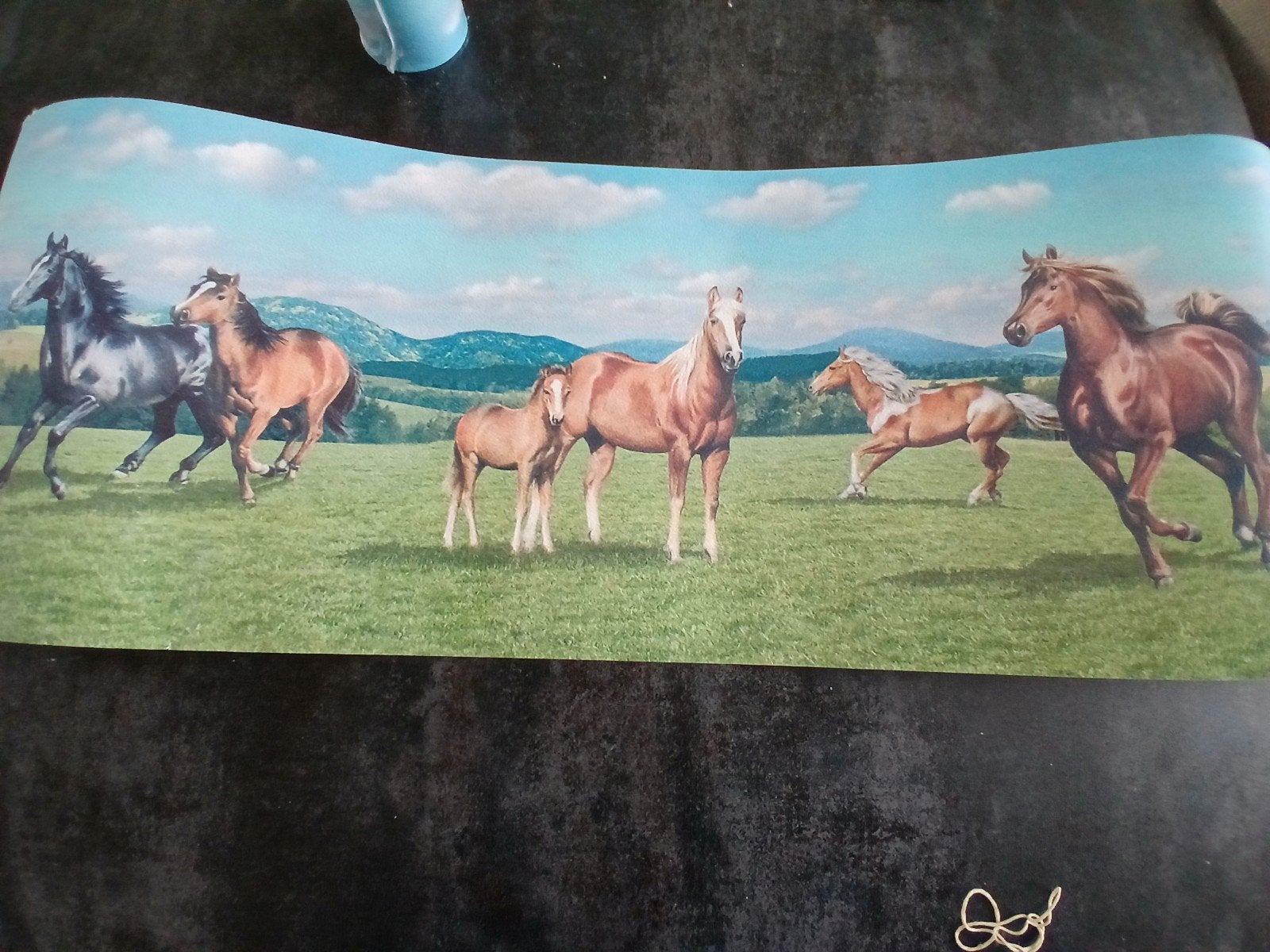 Paarden behangrand van Rasch Quality, Ophalen of Verzenden