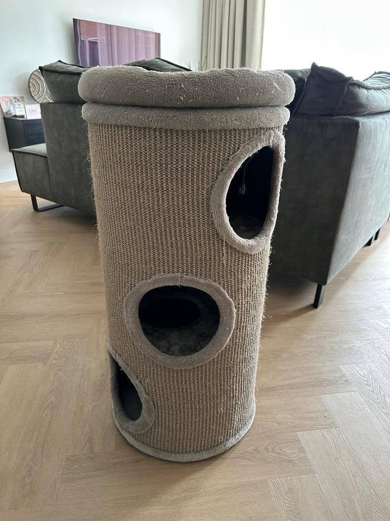 Krabton katten, Dieren en Toebehoren, Ophalen, Gebruikt, Krabton