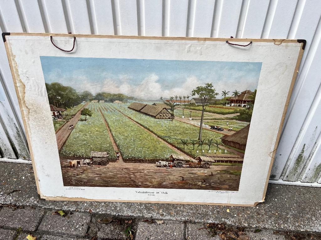 Schoolplaat Tabaksbouw in Deli, Antiek en Kunst, Antiek | Schoolplaten, Ophalen, Geschiedenis