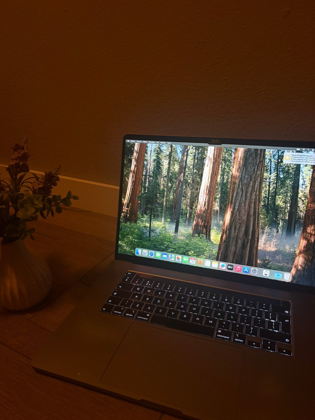 Macbook pro, MacBook Pro, 1 TB of meer, 2 tot 3 Ghz, Ophalen of Verzenden