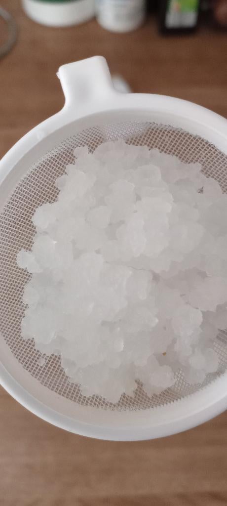 Waterkefir korrels., Ophalen