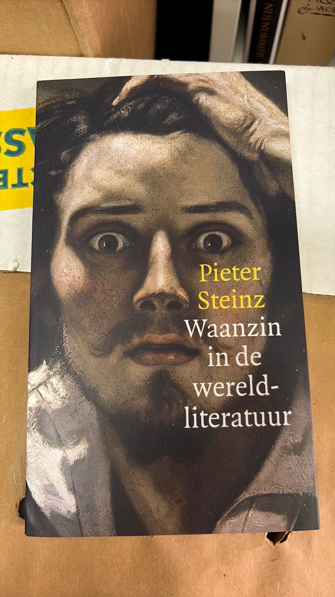 Steinz - Waanzin in de wereldliteratuur, Ophalen of Verzenden, Zo goed als nieuw, Steinz