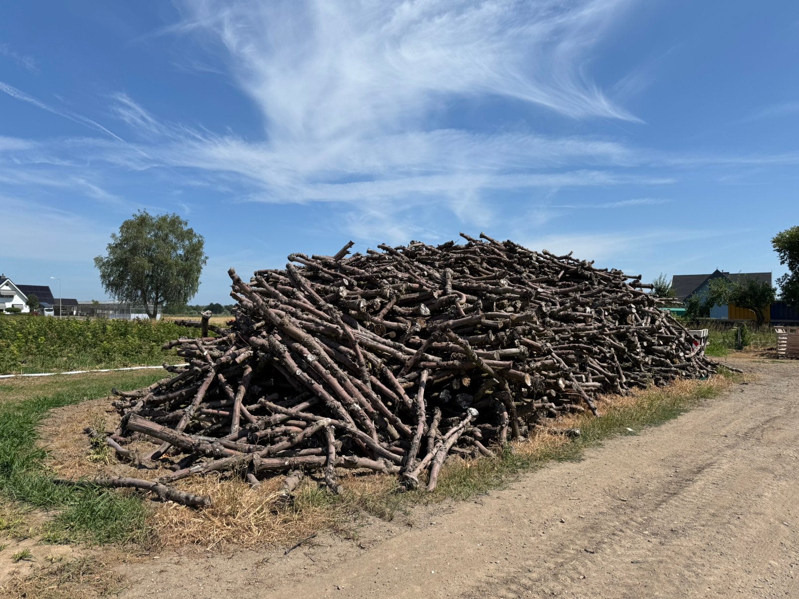 2 vrachten appelhout stammen te koop!, Tuin en Terras, Ophalen, Stammen, 6 m³ of meer, Overige houtsoorten