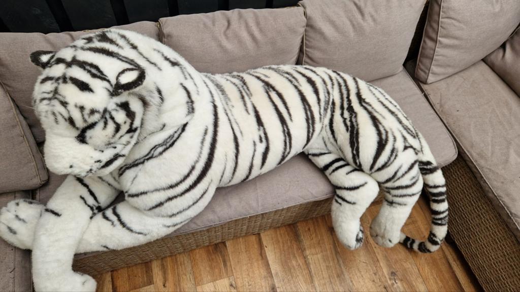 Grote witte tijger knuffel - Realistisch en zacht, Ophalen of Verzenden, Zo goed als nieuw, Middelgroot (20 tot 80 cm), Wit