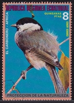 711 – Equatoriaal Guinea michel 994 gestempeld , Poecile pal, Verzenden, Overige landen, Gestempeld
