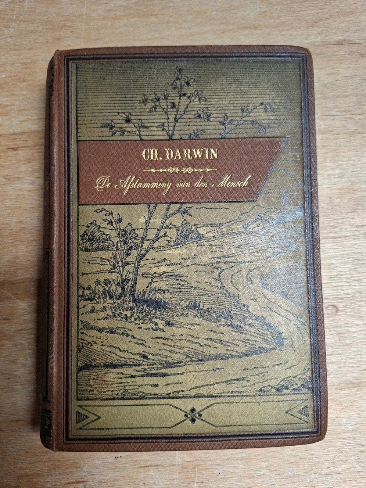 CH. Darwin - De Afstamming van den Mensch (3e druk), Antiek en Kunst, Ophalen, CH. Darwin