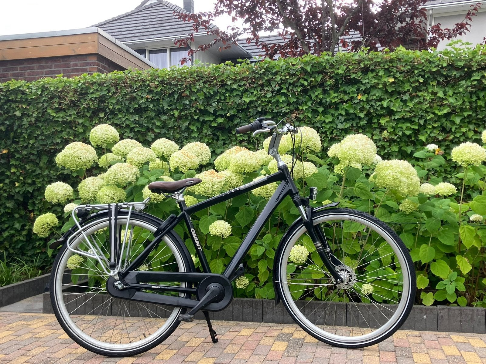 Giant Ultimo-3 49cm/3-V als Gazelle Esprit C3, Fietsen en Brommers, Ophalen, Gebruikt, Versnellingen, 49 tot 53 cm