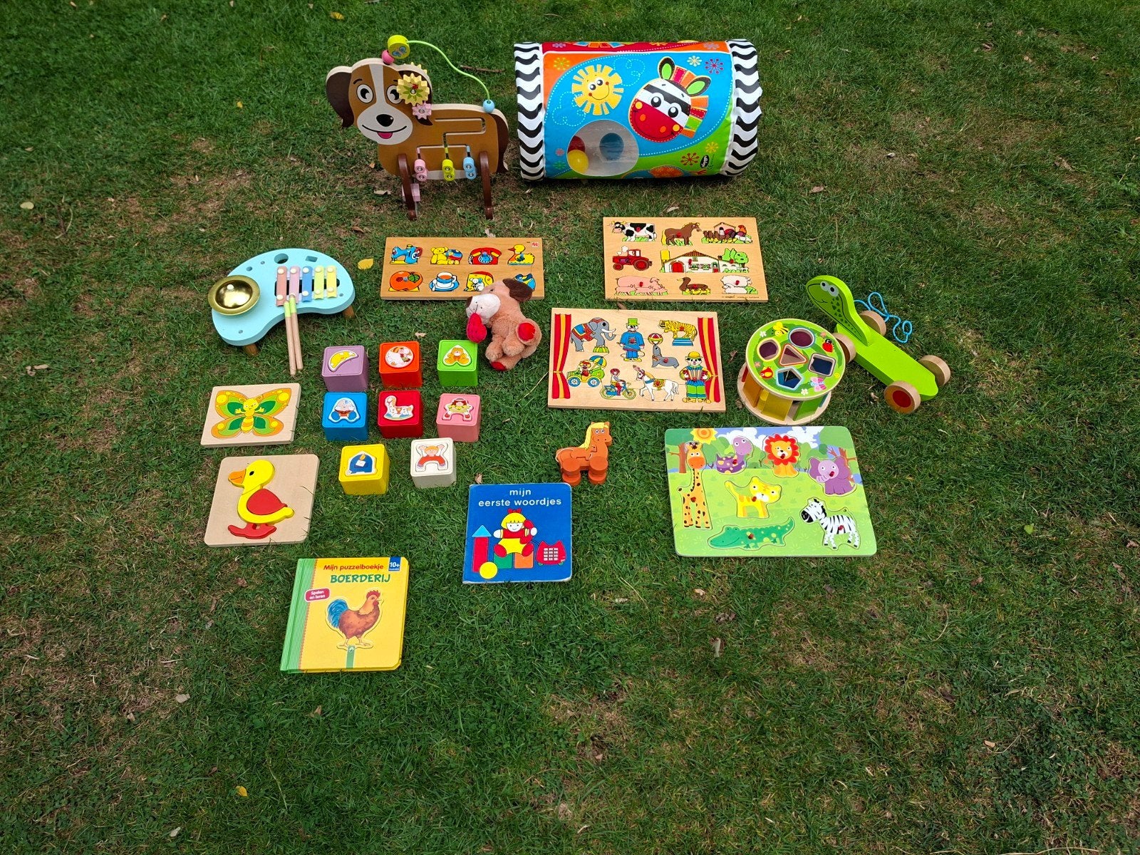 Speelgoed voor baby's/peuters, Ophalen, Gebruikt, Overige typen, Met wieltjes