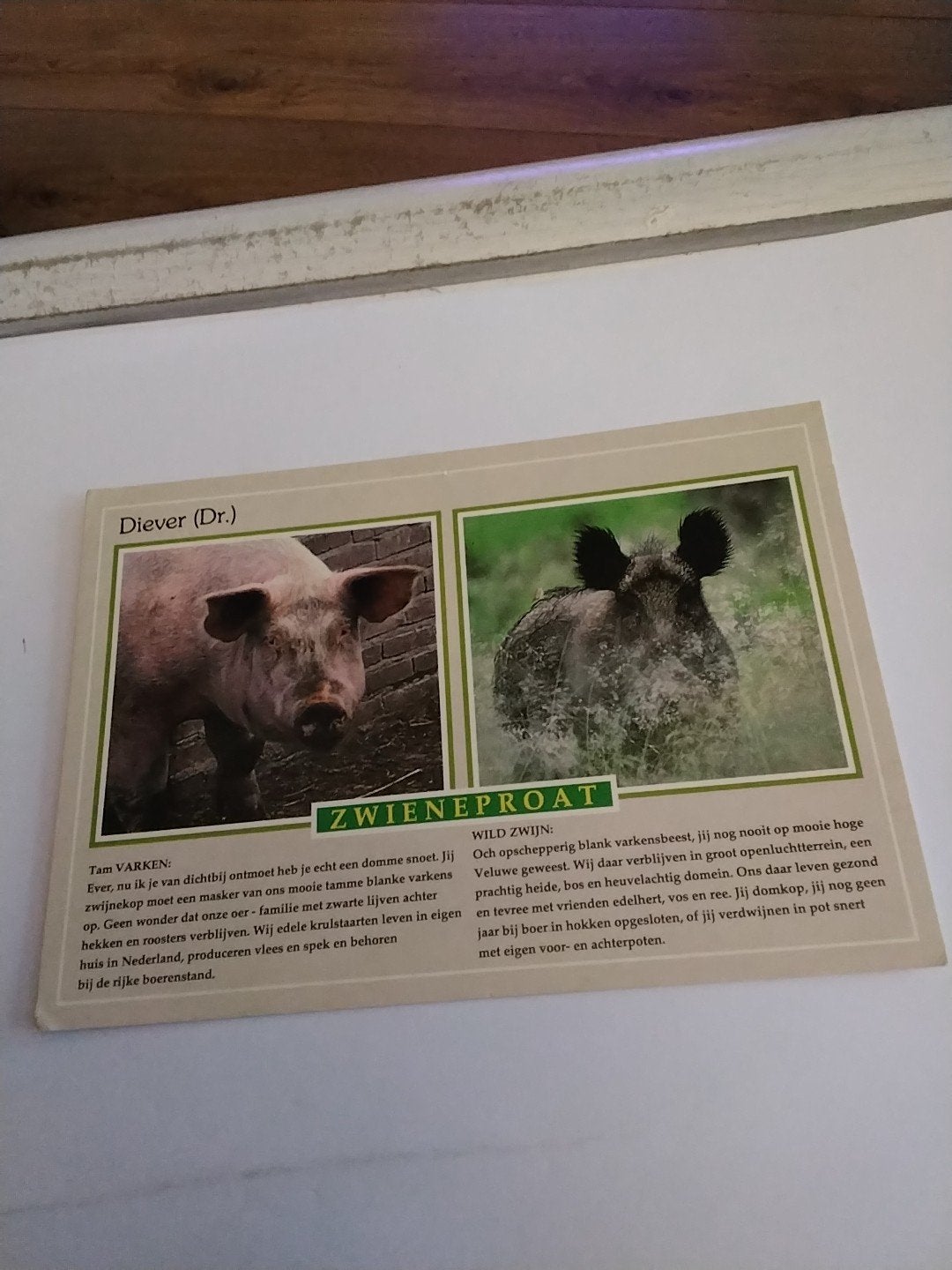 Oude ansichtkaart: Tam Varken en Wild Zwijn, Ophalen of Verzenden, 1980 tot heden, Gelopen