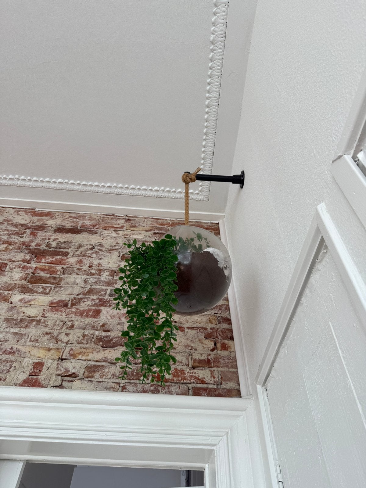 Bol met Plant + touw en stang, Ophalen, Bloeit niet, Overige soorten, Minder dan 100 cm