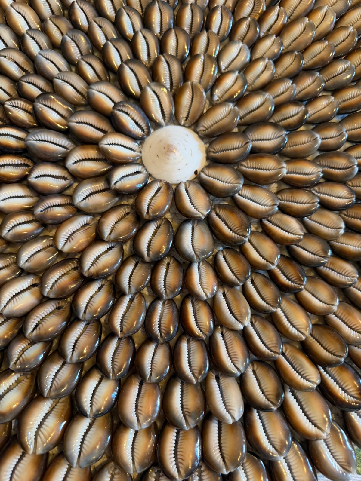 Schitterende rond kauri schelp wand hanger decoratie bruin, Ophalen, Boho, Nieuw, Bruin