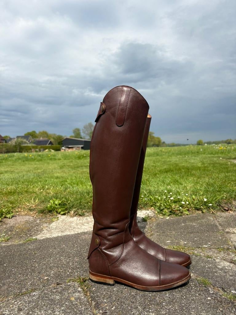 Rijlaarzen maat 38 bruin, Dieren en Toebehoren, Dressuur, Ophalen of Verzenden, Zo goed als nieuw, Dames