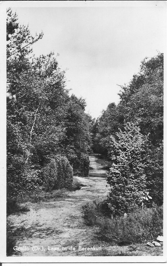 Oude ansichtkaart Grollo (Dr.) Laan in de Berenkuil, Ophalen of Verzenden, 1940 tot 1960, Gelopen, Drenthe