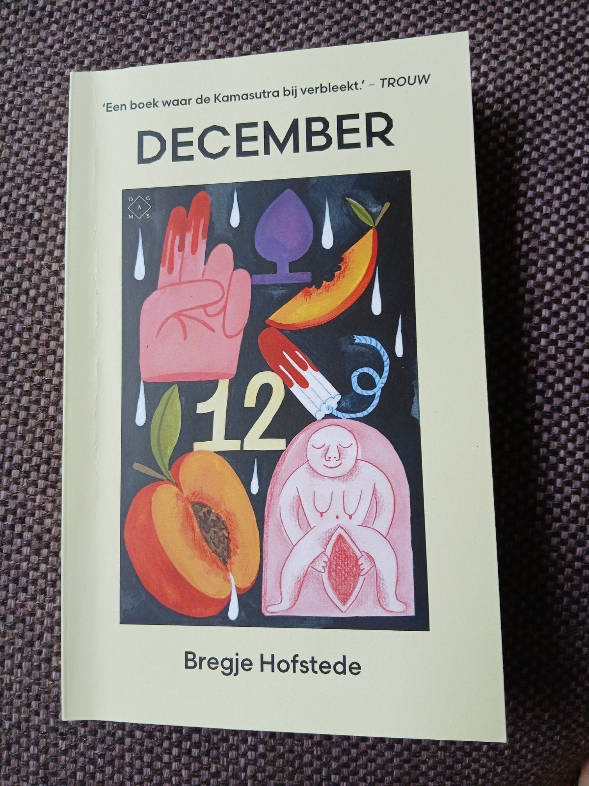 December - Bregje Hofstede (Zo goed als nieuw), Ophalen of Verzenden, Zo goed als nieuw, Bregje Hofstede, Nederland