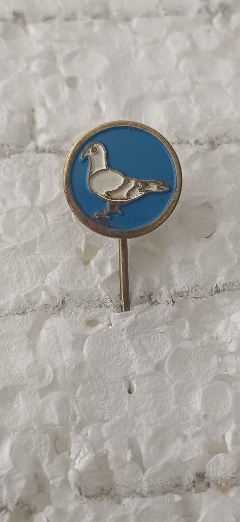 Duif Duiven, Postduiven, Ophalen of Verzenden, Zo goed als nieuw, Overige onderwerpen