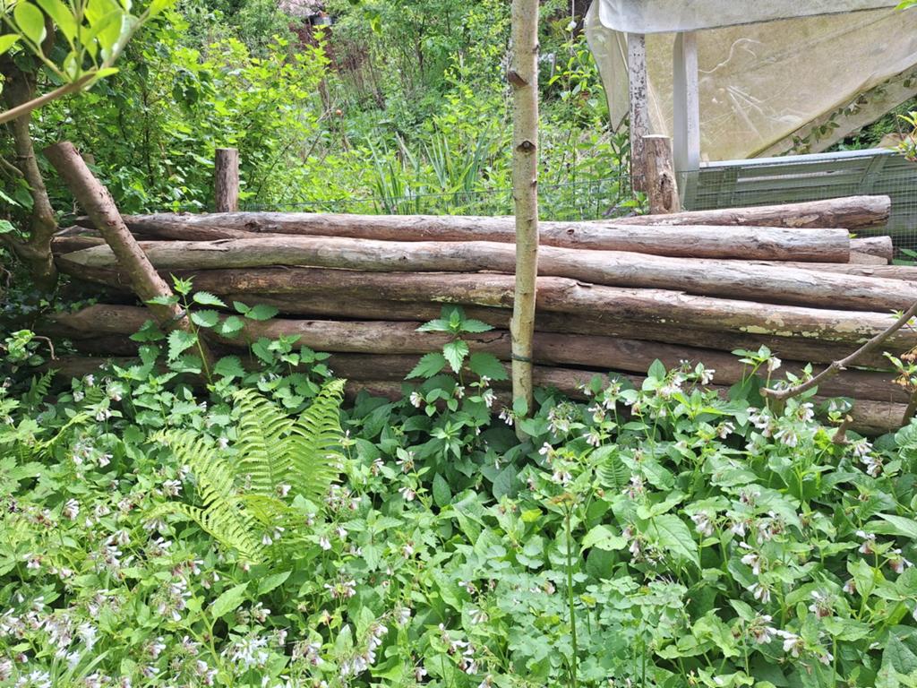Kastanje houten palen 3 meter lang, Tuin en Terras, Ophalen, Palen, Zo goed als nieuw, Hardhout