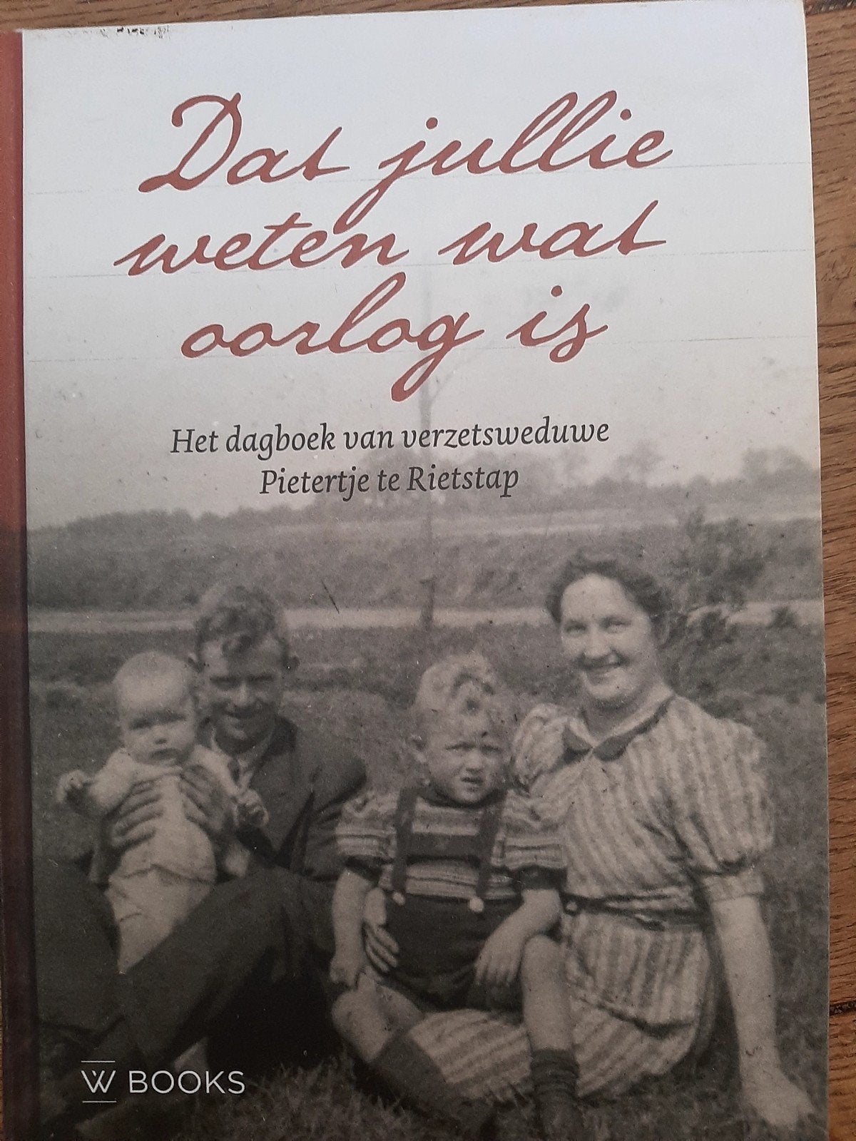 Dagboek van verzetsweduwe Pietertje te Rietstap, Boeken, Tweede Wereldoorlog, Ophalen of Verzenden, Zo goed als nieuw, Pietertje te Rietstap