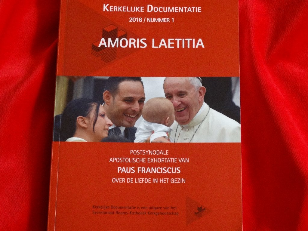 Amosris laetitia, postsynoda Paus Franciscus Religie, Boeken, Ophalen of Verzenden, Gelezen