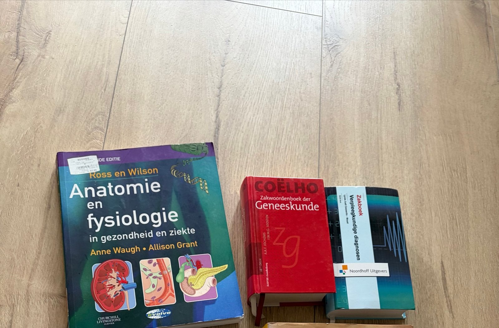 GRATIS Medische boeken: Anatomie, Fysiologie, Zakwoordenboek, Boeken, Studieboeken en Cursussen, Ophalen of Verzenden, Beta, Gelezen