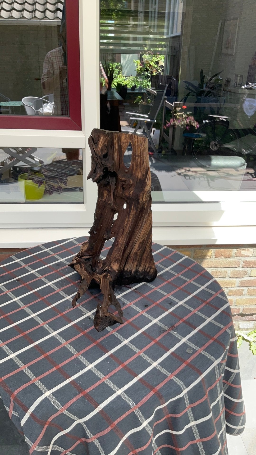 Aquarium hout, Dieren en Toebehoren, Ophalen of Verzenden, Zo goed als nieuw, Plant(en), Steen of Hout