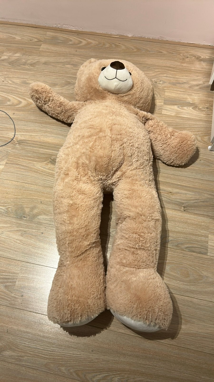 Grote, zachte teddybeer - ongeknuffeld ;-), Kinderen en Baby's, Speelgoed | Knuffels en Pluche, Beer, Ophalen of Verzenden, Zo goed als nieuw