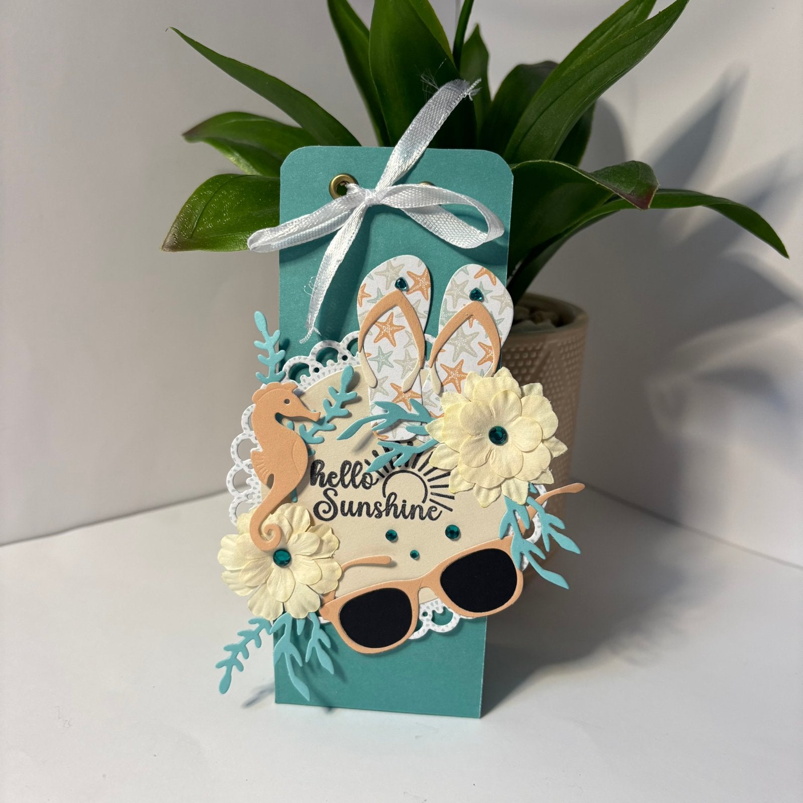 Luxe doosje summer sunshine, Ophalen of Verzenden, Zo goed als nieuw, Overige thema's