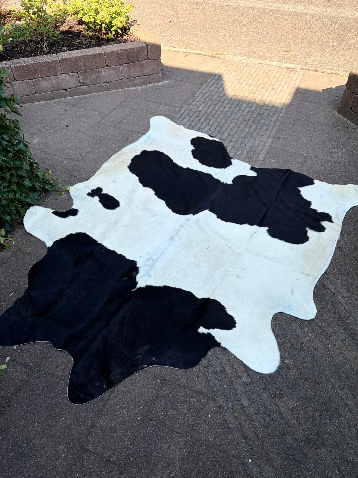 Echt lederen koeienhuid kleed zwart/wit, Gebruikt, Zwart, 150 tot 200 cm, 200 cm of meer
