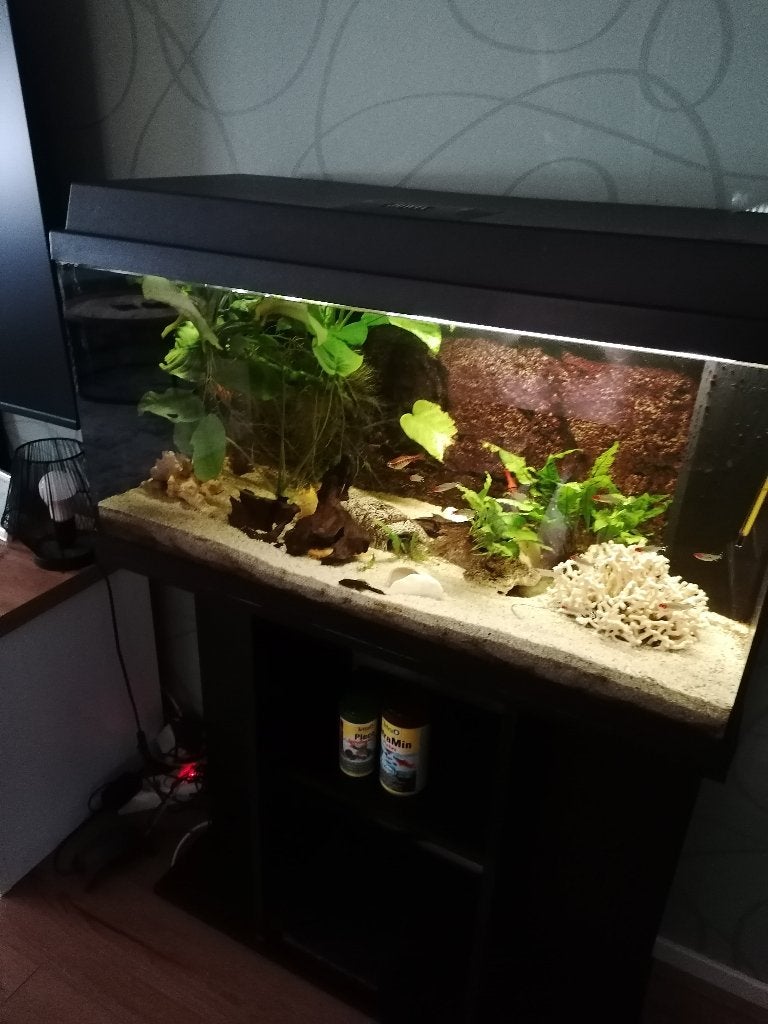 Aquaria met toebehoren, Dieren en Toebehoren, Vissen | Aquaria en Toebehoren, Ophalen, Gebruikt, Overige typen, Inclusief vissen